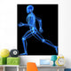 Running Skeleton Anatomy Wall Decal