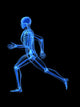 Running Skeleton Anatomy Wall Decal