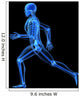 Running Skeleton Anatomy Wall Decal