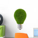 Bulb Wall Decal