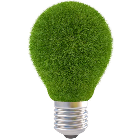 Bulb Wall Decal