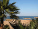 Lac Nasser Wall Decal