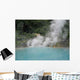 Hot Springs Japan Wall Decal