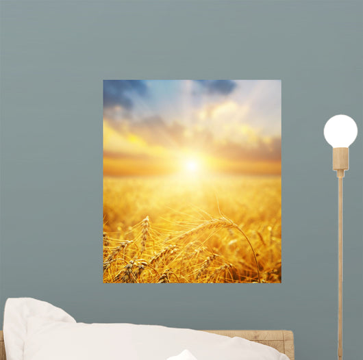 Golden Wheat Field And Sun Beams Wall Decal