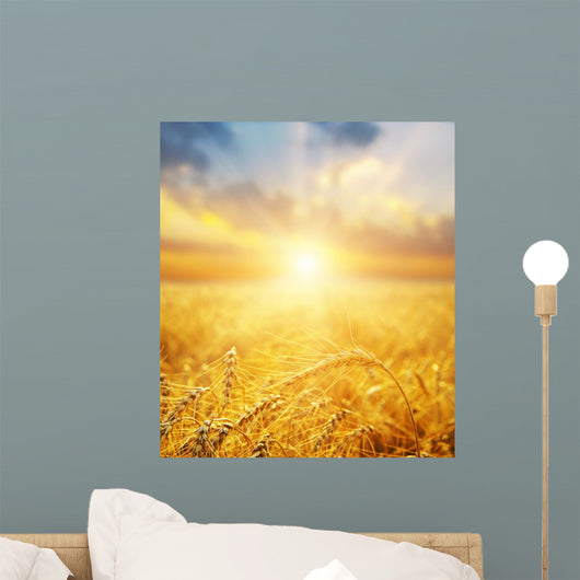 Golden Wheat Field And Sun Beams Wall Decal