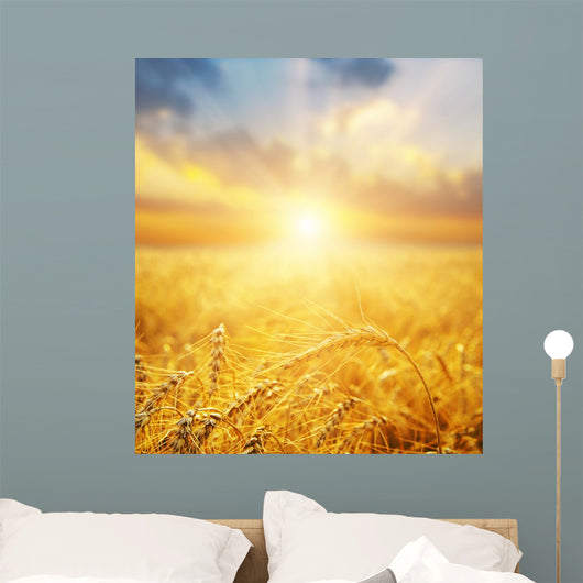 Golden Wheat Field And Sun Beams Wall Decal