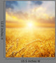 Golden Wheat Field And Sun Beams Wall Decal