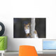 Belle Face Wall Decal