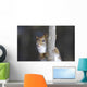 Belle Face Wall Decal