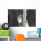 Belle Face Wall Decal
