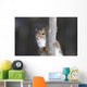 Belle Face Wall Decal