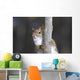 Belle Face Wall Decal