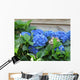 2007057 Wall Decal