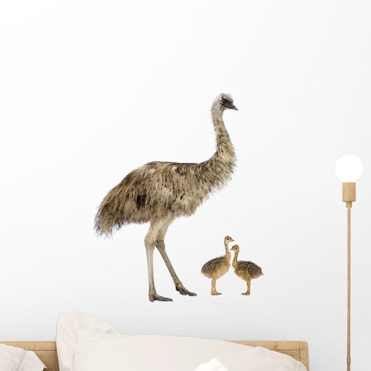 Emu And Chicks Wall Decal