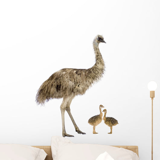 Emu And Chicks Wall Decal