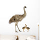 Emu And Chicks Wall Decal