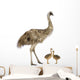 Emu And Chicks Wall Decal