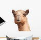 Camel Head Wall Decal