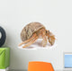 Hermit Crab Wall Decal