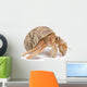 Hermit Crab Wall Decal