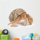 Hermit Crab Wall Decal