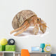 Hermit Crab Wall Decal