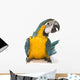 Sitting Blue And Gold Macaw Wall Decal