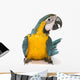 Sitting Blue And Gold Macaw Wall Decal