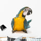 Sitting Blue And Gold Macaw Wall Decal