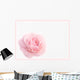 Dew And Rose Wall Decal