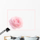 Dew And Rose Wall Decal