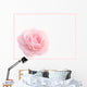 Dew And Rose Wall Decal
