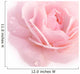 Dew And Rose Wall Decal