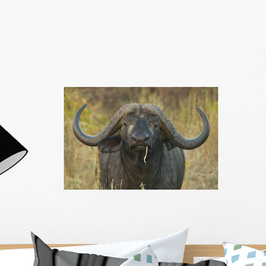 Cape Buffalo Wall Decal