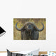 Cape Buffalo Wall Decal