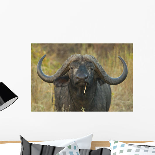 Cape Buffalo Wall Decal