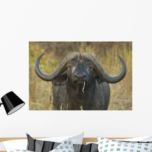 Cape Buffalo Wall Decal