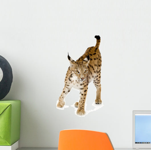 Lynx Front Wall Decal