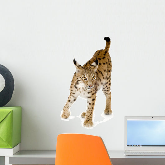 Lynx Front Wall Decal