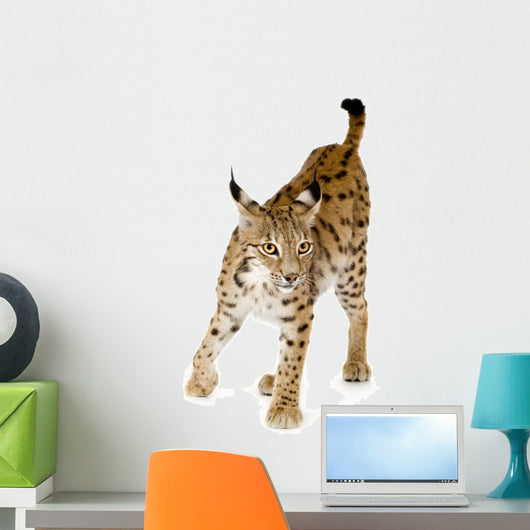Lynx Front Wall Decal