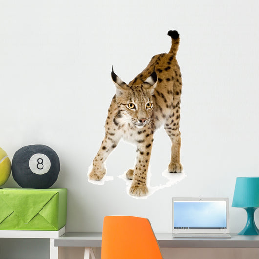 Lynx Front Wall Decal