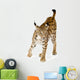Lynx Front Wall Decal