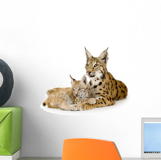 Lynx And Her Cub Wall Decal