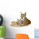 Lynx And Her Cub Wall Decal
