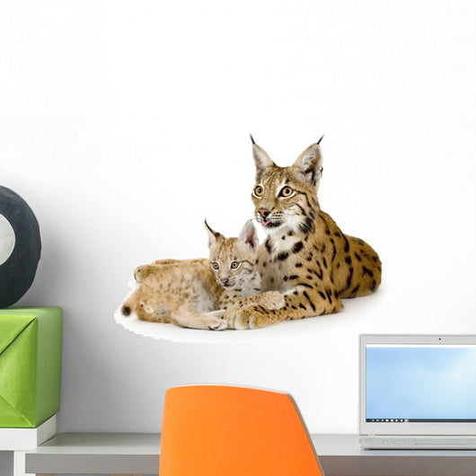 Lynx And Her Cub Wall Decal