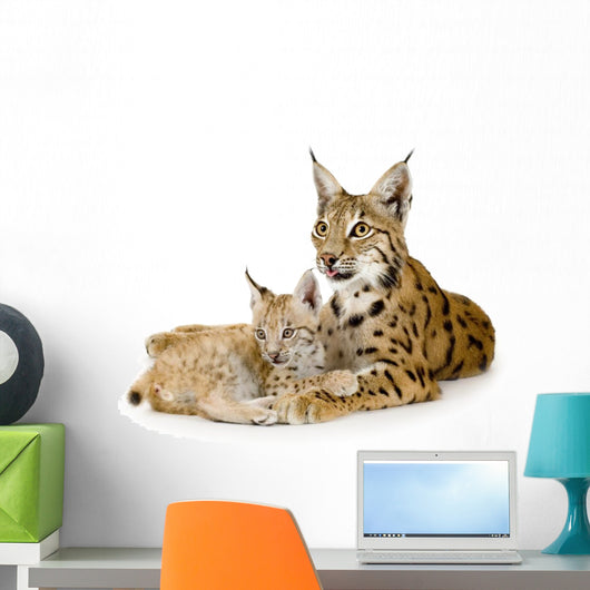 Lynx And Her Cub Wall Decal