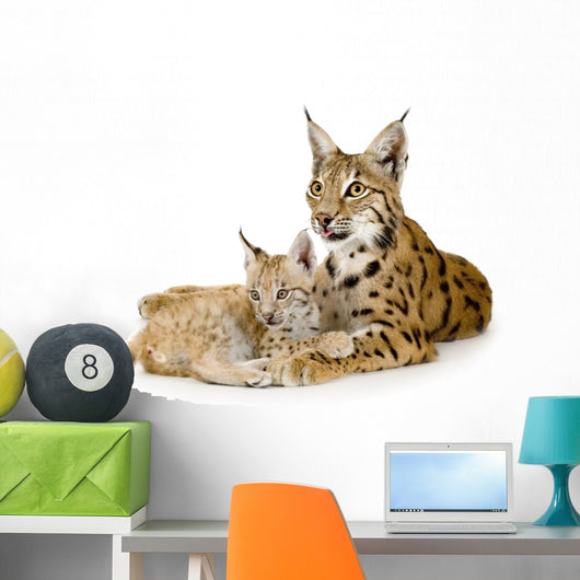 Lynx And Her Cub Wall Decal