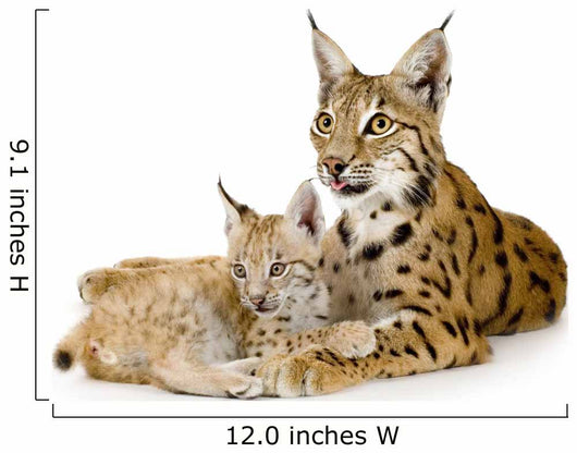 Lynx And Her Cub Wall Decal