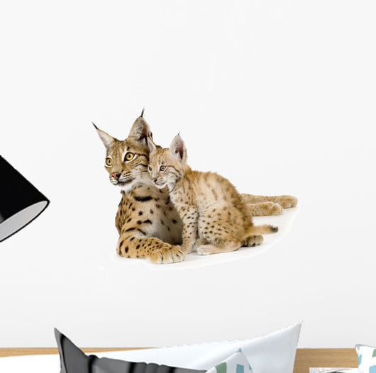 Baby Lynx Cat Wall Decal