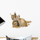 Baby Lynx Cat Wall Decal
